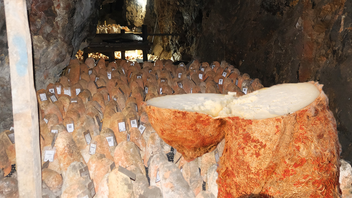 36 Metre Derinlikte 6 Ay Bekliyor: Beyaz Girip Kırmızı Çıkan Divle Obruk Peyniri
