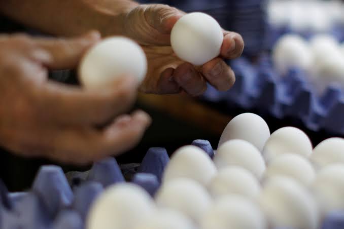 ABD'de Salmonella Krizi: Milyonlarca Yumurta En Yüksek Risk Seviyesiyle Geri Çağrıldı
