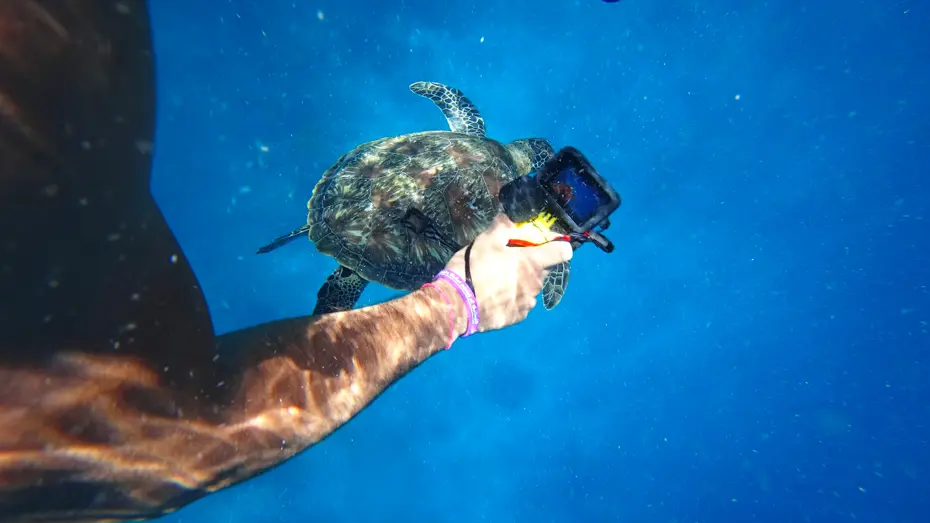 Aksiyon Kamerası Devi GoPro Yolun Sonunda mı? Şirket Satış Sürecini Başlattı