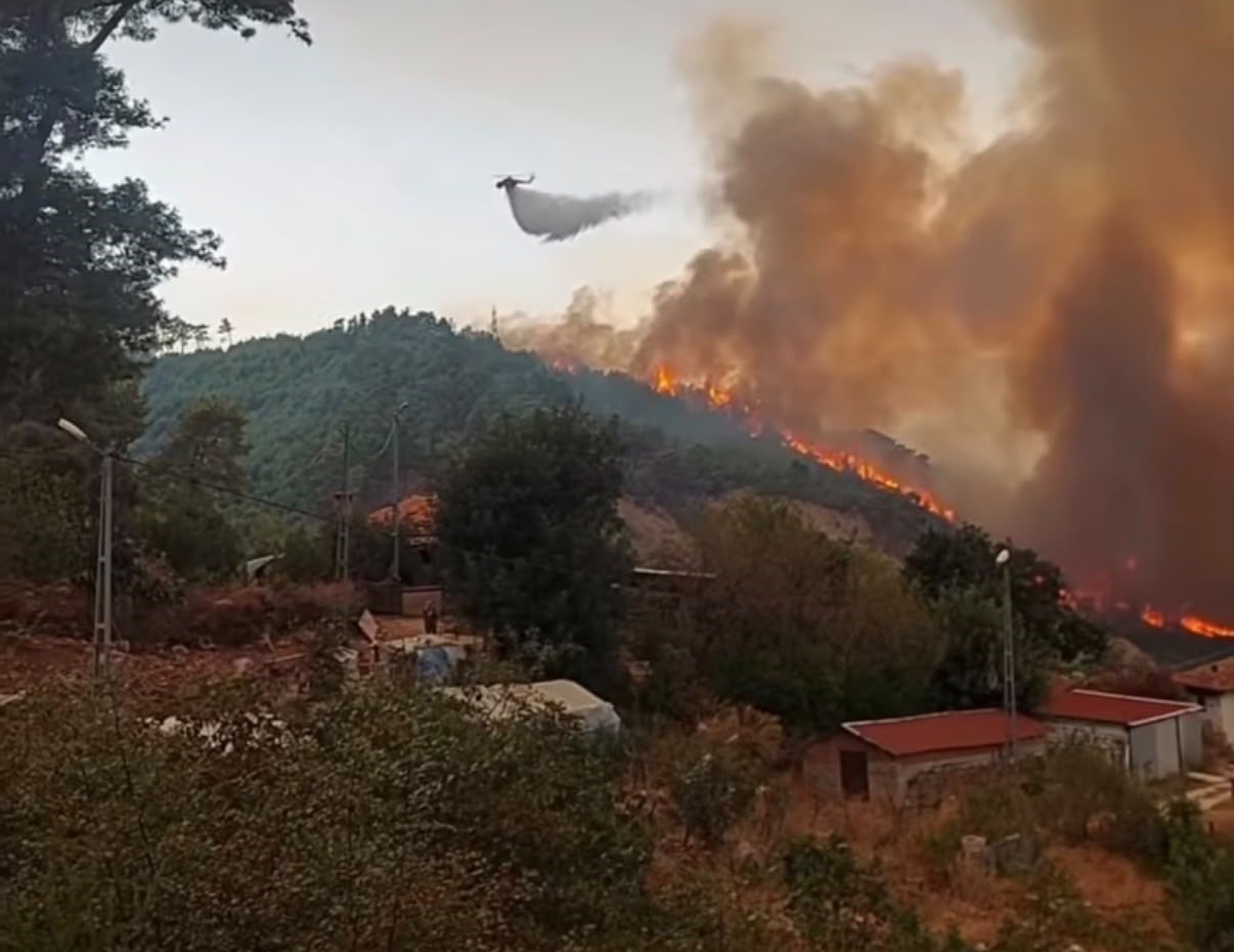 Antalya'da Korkutan Orman Yangını: Alevler Rüzgarla Büyüdü