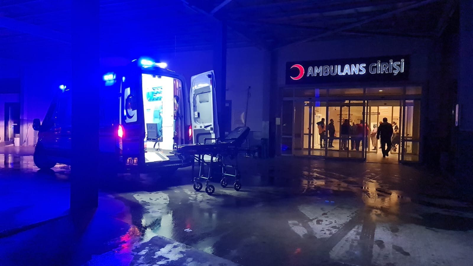 Aydın'da Feci Kaza: Tarlaya Uçan Minibüsün Sürücüsü Hayatını Kaybetti