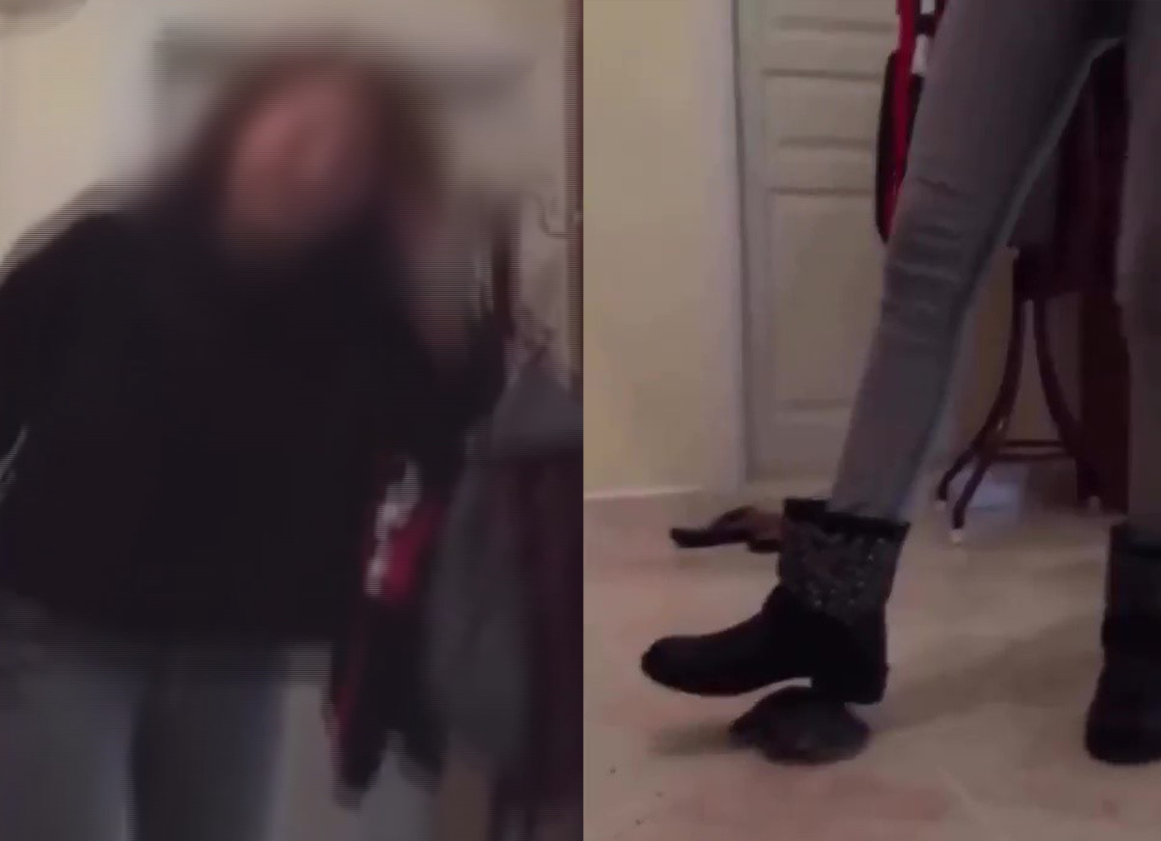 Caniliğe Soruşturma: Kaplumbağayı Ezerek Öldüren Şahıs Gözaltına Alındı
