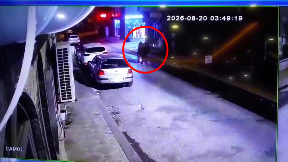 Darıca Sahilindeki <strong>Gizemli Ölümde</strong> Yeni Detaylar: Tek Renk Kıyafetle Kol Kola Yürüdüler