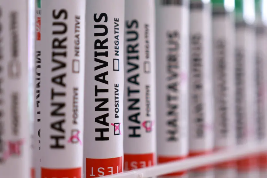 Dünya Sağlık Örgütü'nden Hantavirüs Açıklaması: Küresel Salgın Riski Var mı?