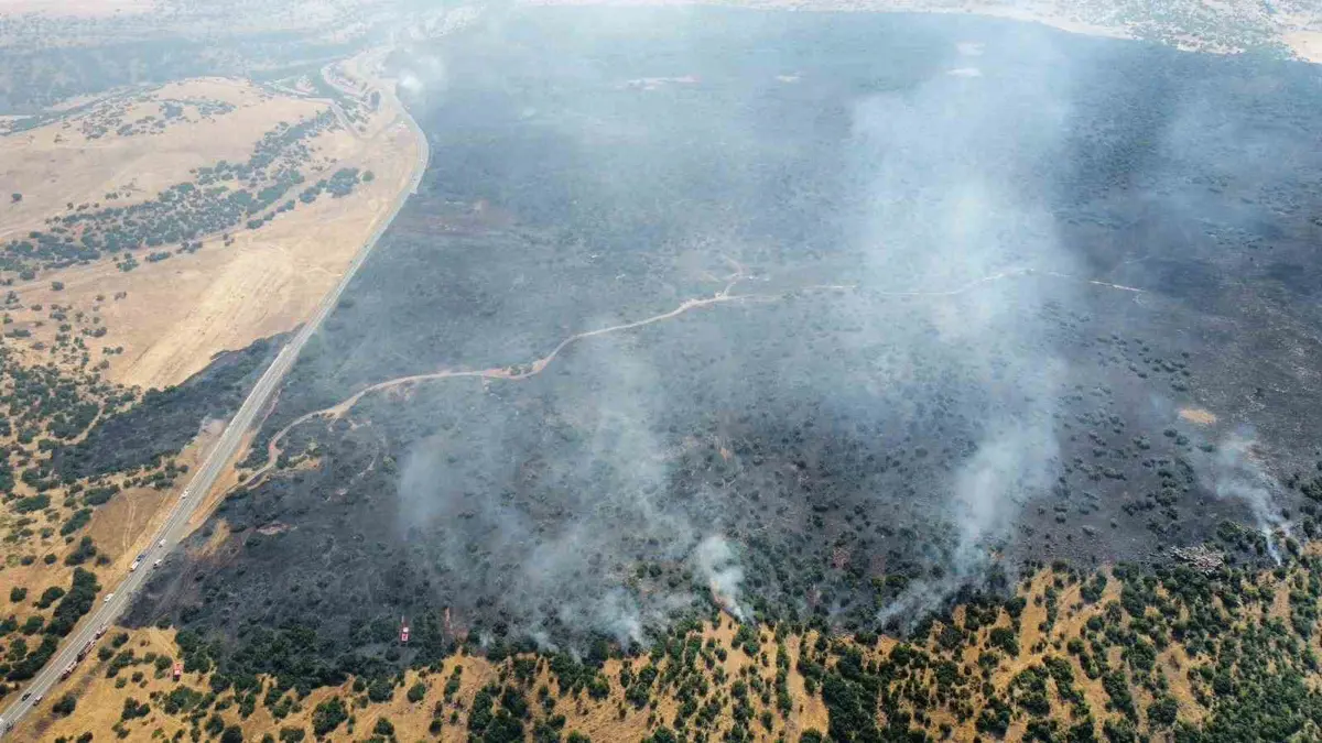 Elazığ'da Orman Yangını: Ekipler Alevlere Müdahale Ediyor