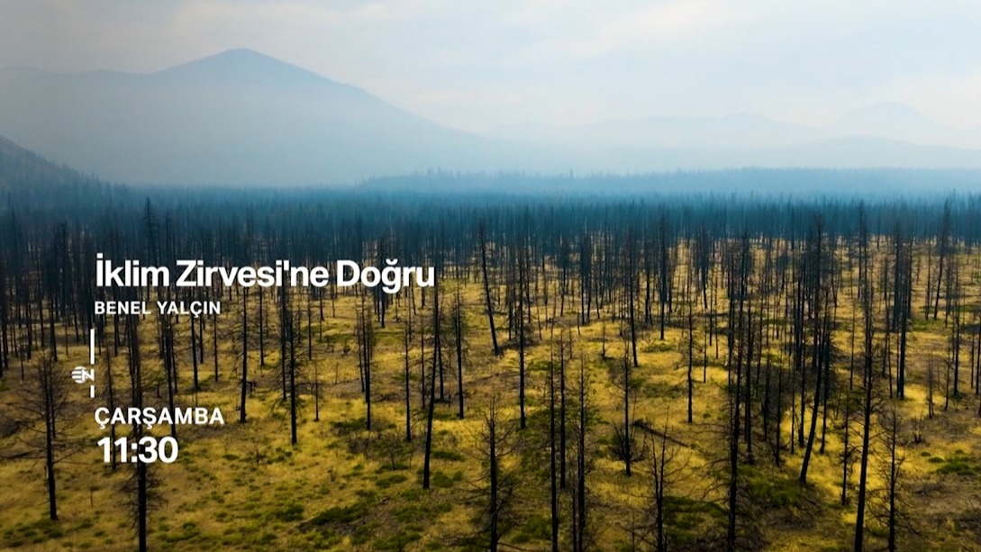 İklim Zirvesi'ne Doğru: Türkiye COP31 İçin Hazırlıklarını Sürdürüyor