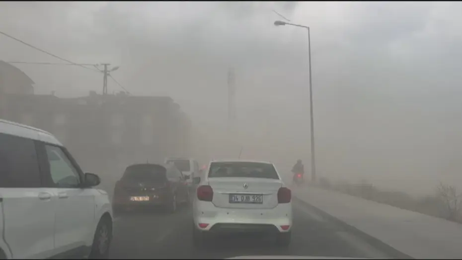 İstanbul'da Hayatı Felç Eden Fırtına: Ağaçlar Devrildi, Uçaklar İniş Yapamadı