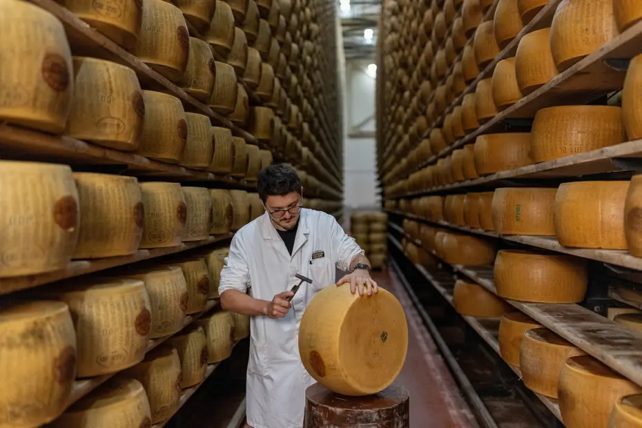 İtalya'da Kavurucu Sıcaklar Parmigiano Reggiano Üretimini Tehdit Ediyor