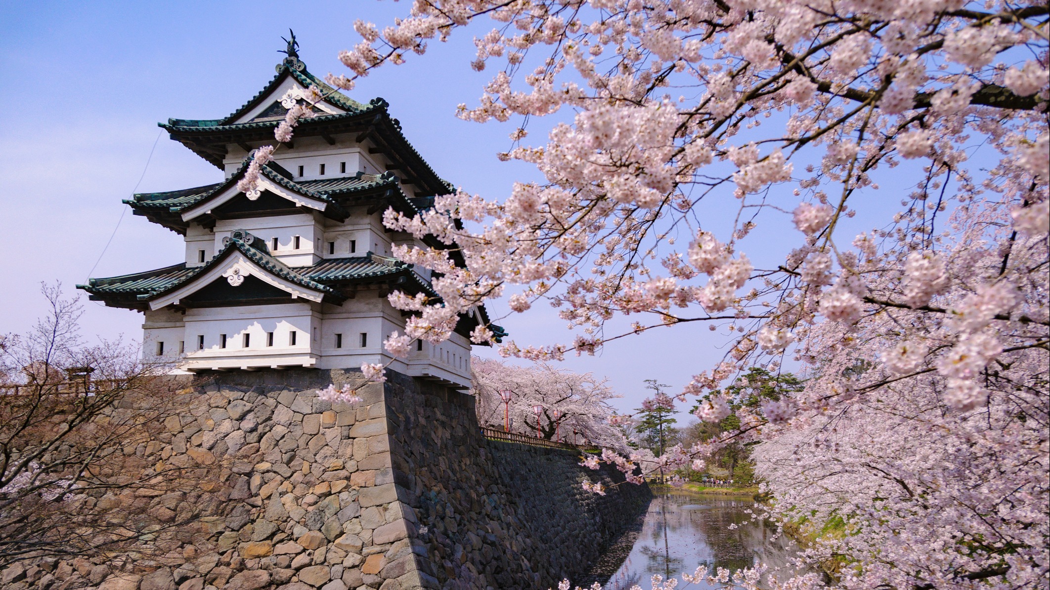 Japonya'da Tarihi An: 360 Tonluk Kale Bin 800 Kişinin Halat Çekmesiyle Taşındı