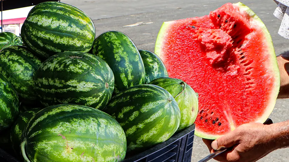 Karpuzda Fiyat Makası Açıldı: Tarlada 5 TL, Markette 17 TL