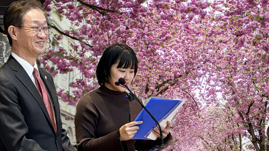 Kırşehir'de Sakura Şöleni: Japonya ile Kültürel Bağlar Güçleniyor