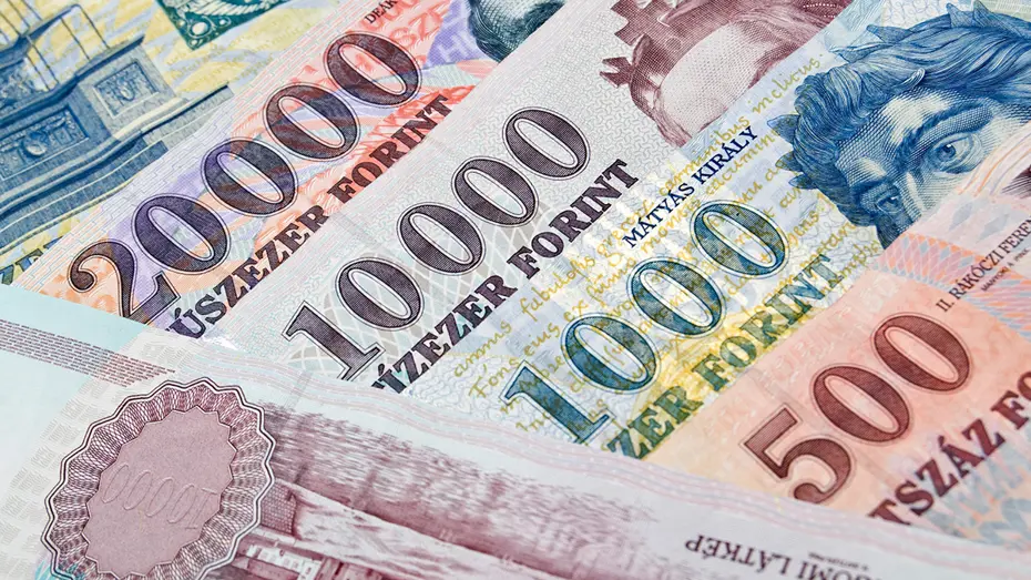 Macaristan Euro Bölgesi Hedefini Açıkladı: Macar Forinti İçin Geri Sayım