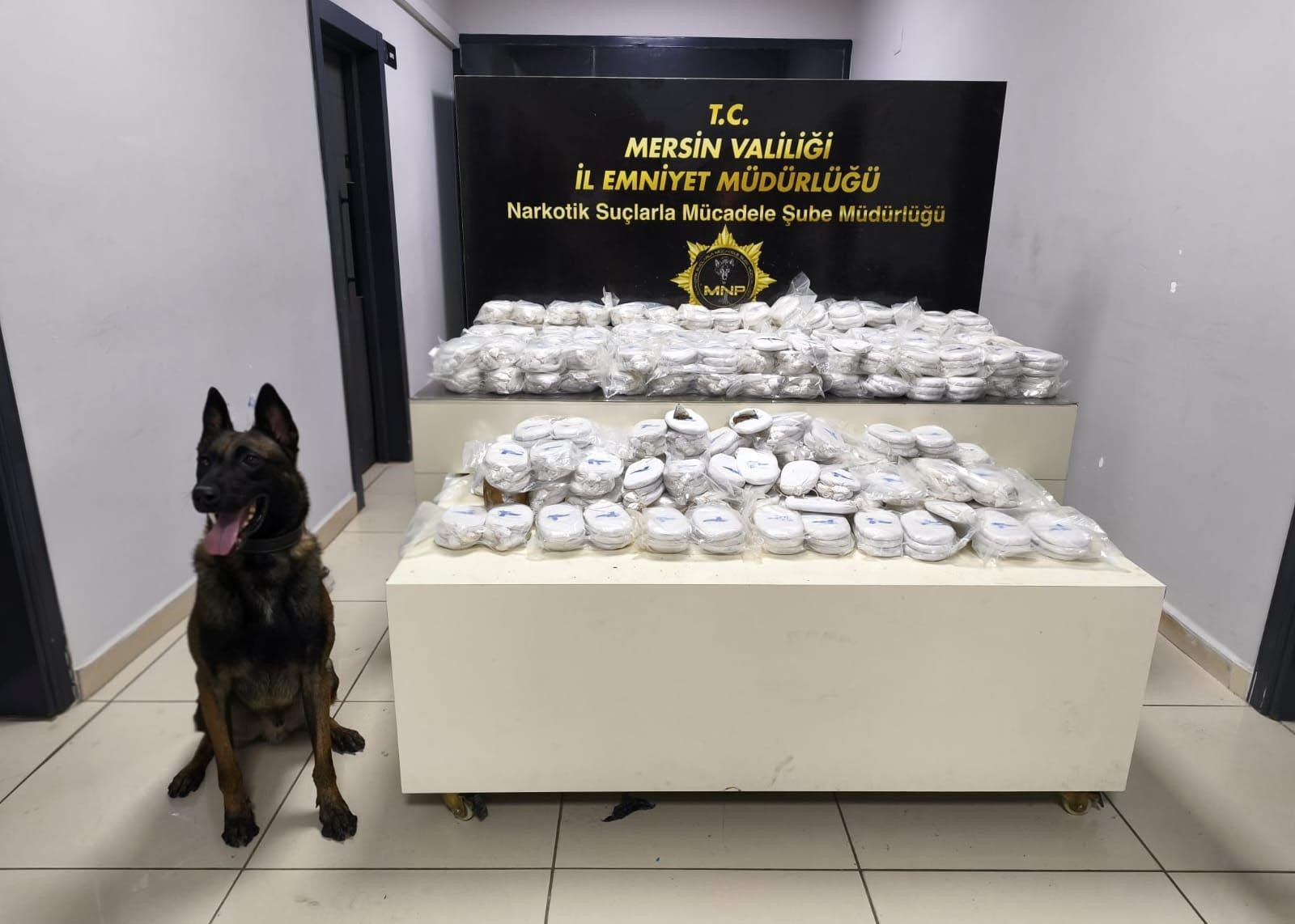 Mersin Limanı’nda Milyonluk Uyuşturucu Operasyonu: 3 Gözaltı