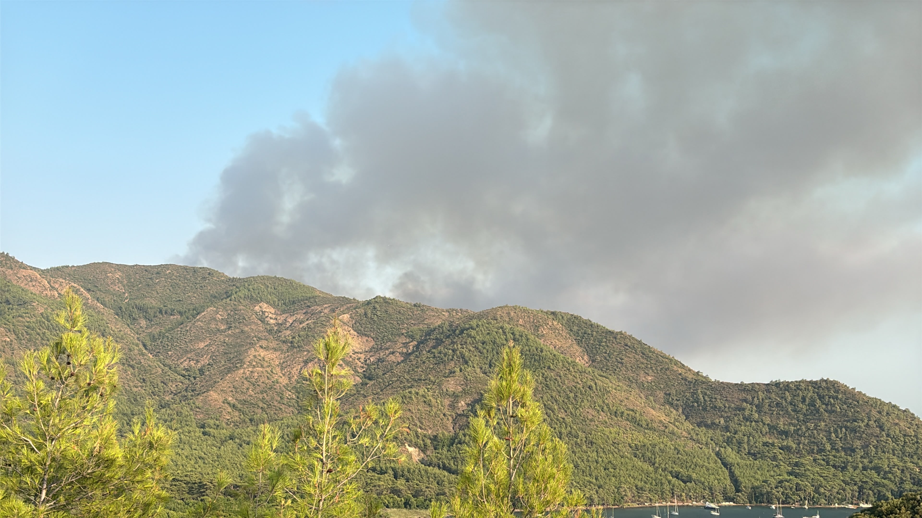 Muğla Marmaris'te Orman Yangını: Havadan ve Karadan Yoğun Müdahale