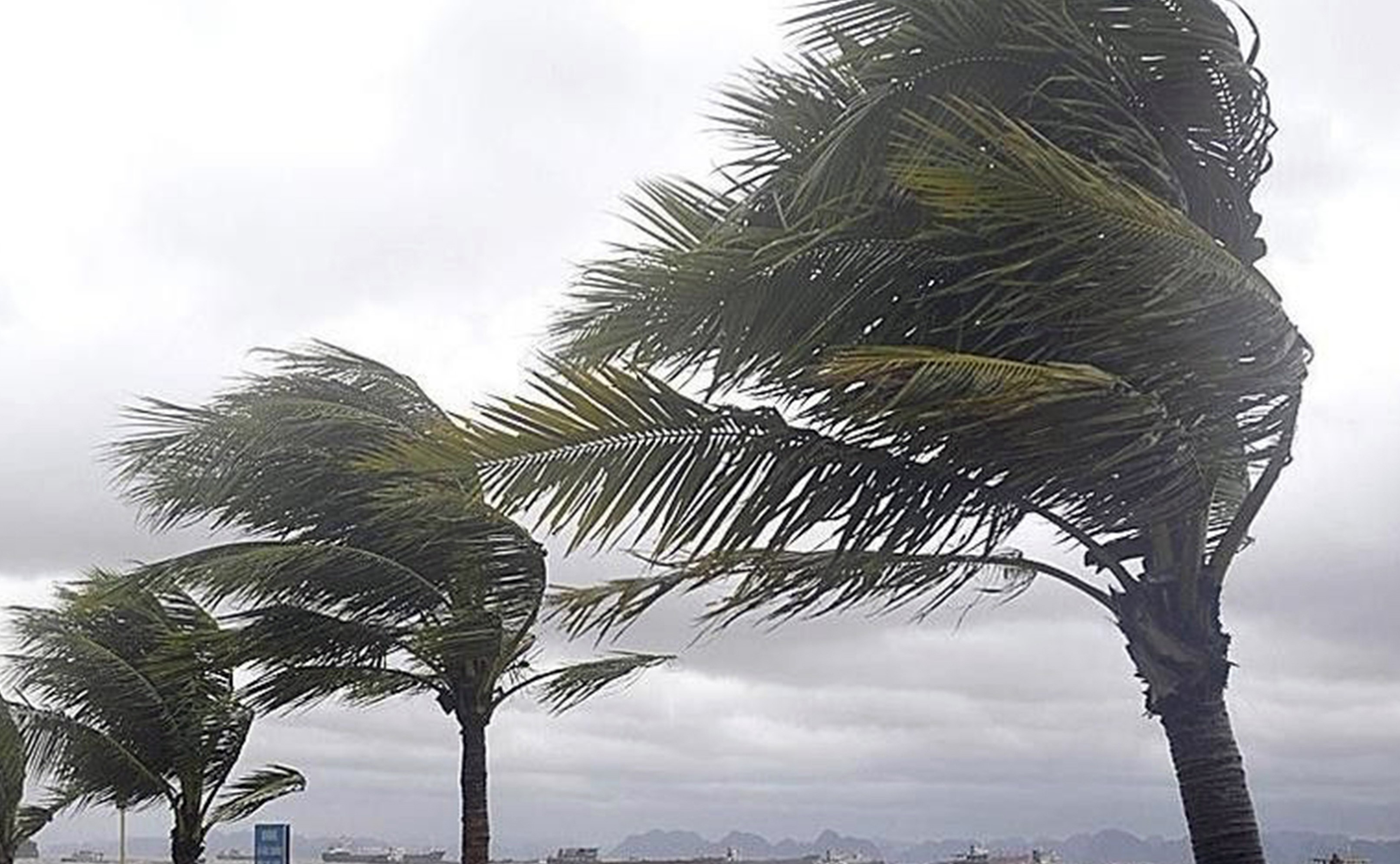 Muğla'nın 8 İlçesinde Şiddetli Fırtına Alarmı: Meteoroloji'den Kritik Uyarı