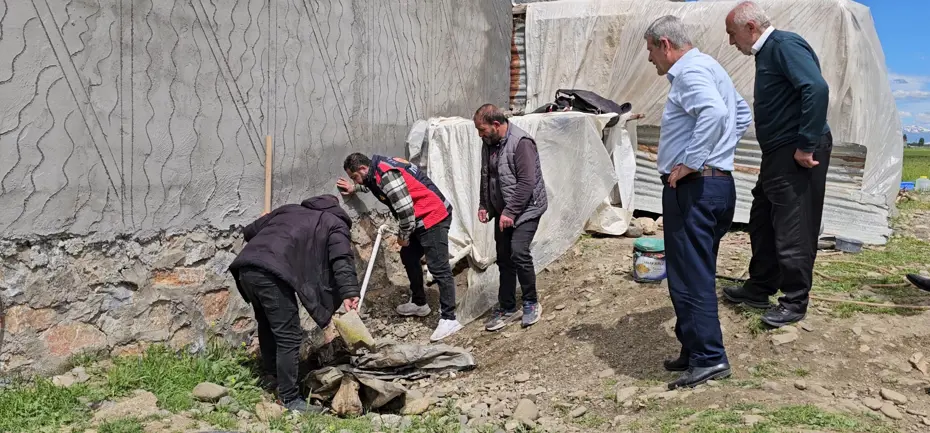 Muş'ta Korku Dolu Anlar: 3 Metrelik Yılan Mahalleyi Paniğe Sürükledi