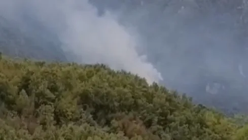 Hatay Dörtyol'da Orman Yangını: Havadan ve Karadan Müdahale Başlatıldı