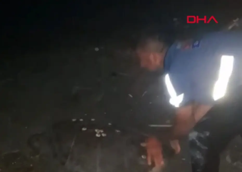 Samandağ Sahilinde Yönünü Şaşıran Caretta Caretta Vatandaşlar Tarafından Denize Ulaştırıldı