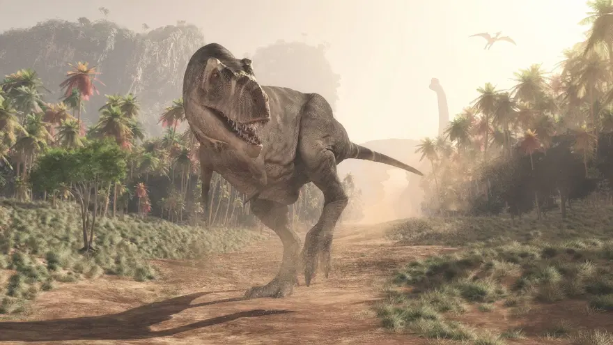 T-Rex ile İnsanlar Arasındaki Şaşırtıcı Ortak Özellik Keşfedildi