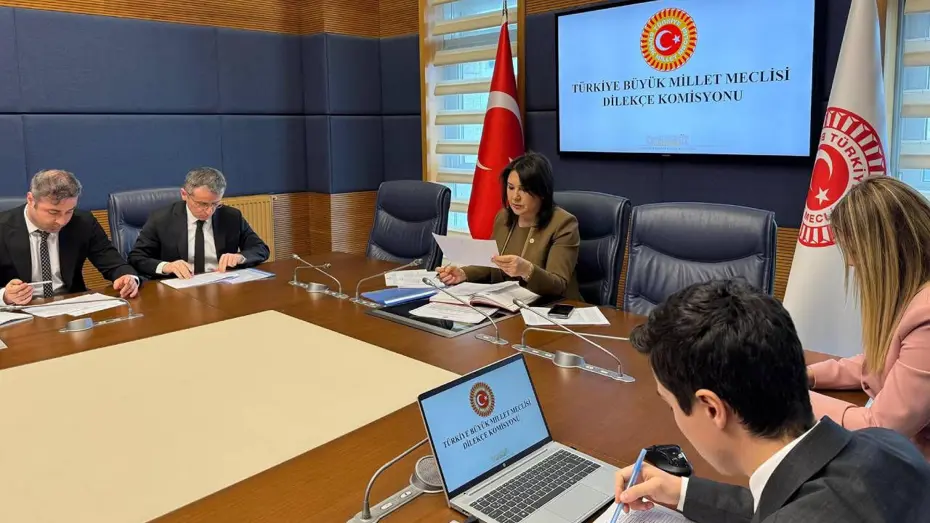 TBMM Dilekçe Komisyonu'na İlginç Başvurular: Ankara ve İstanbul İçin Şaşırtan Teklif