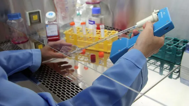 Dünya Sağlık Örgütü Raporu: Kanser Tedavisinde Küresel Uçurum Büyüyor