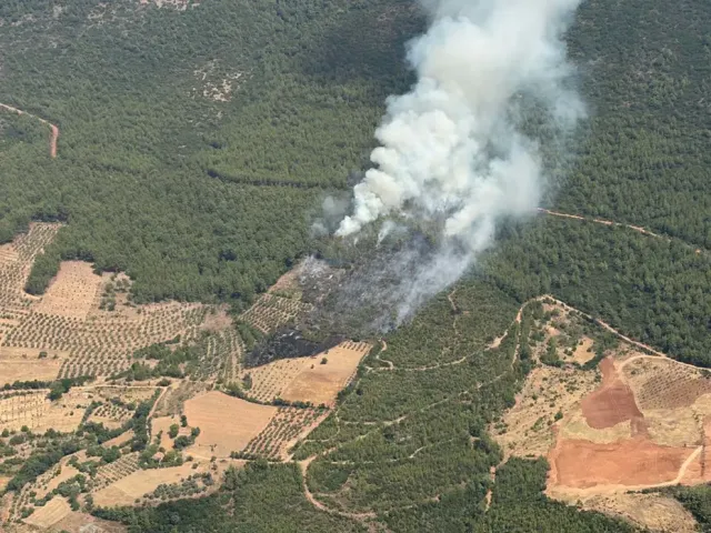 Muğla Yatağan'da Orman Yangını: Havadan ve Karadan Müdahale