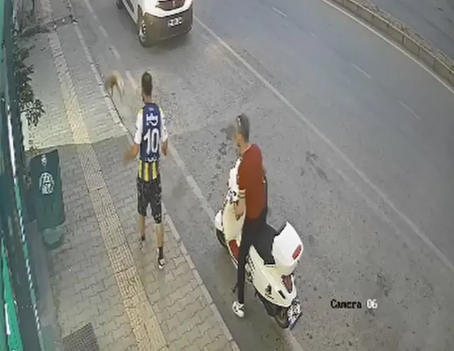 Samsun'da Kediyi Tekmeleyen Şüpheli Gözaltına Alındı: Sosyal Medyada Büyük Tepki