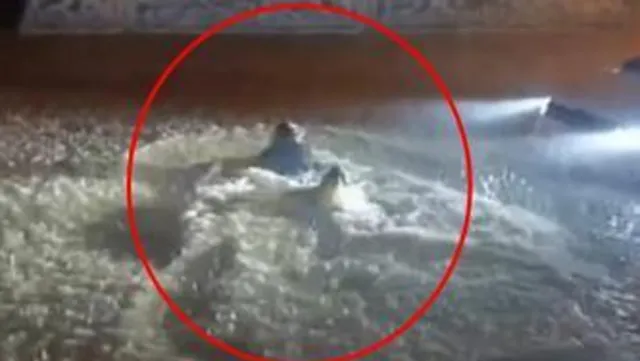 Midyat'ta Şiddetli Sağanak: Göle Dönen Sokakta Yüzen Kişi Şaşkına Çevirdi