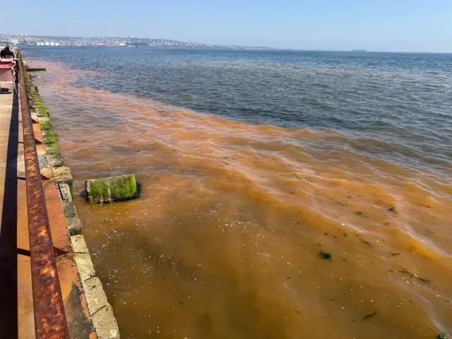 Tekirdağ Sahillerinde Şaşırtan Manzara: Deniz Turuncuya Büründü