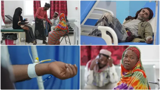 Küresel Sağlık Krizi: Sıtma Nedeniyle 610 Bin Kişi Hayatını Kaybetti