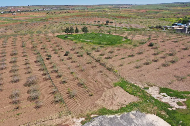 Taş Tepeler Projesi ile Şanlıurfa'da Tarih Yeniden Yazılıyor: Uluslararası Arkeolojik İş Birliği
