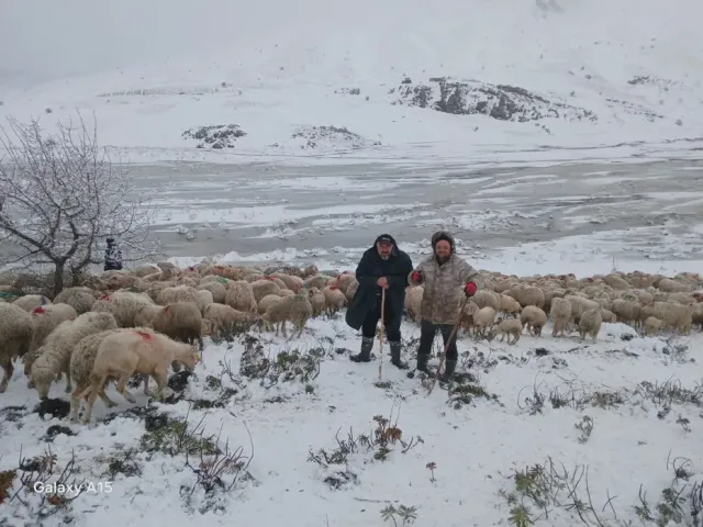 Isparta'da Korku Dolu Anlar: 650 Küçükbaş Hayvan ve 2 Çoban Yaylada Mahsur Kaldı