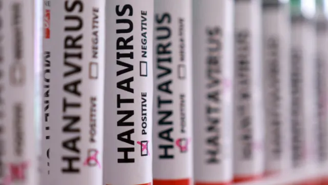 Hantavirüs Riski Altındaki Meslek Grupları ve Korunma Yolları