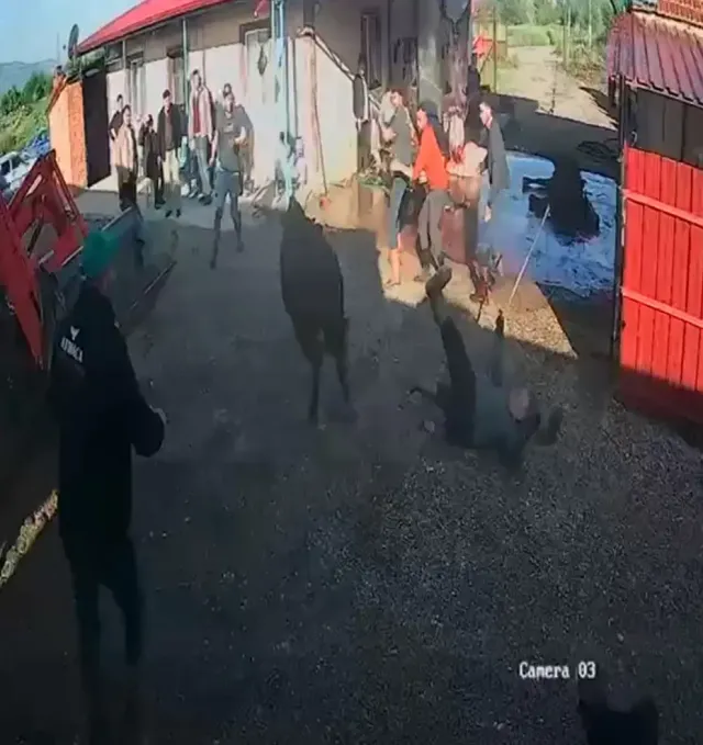 Afyonkarahisar'da Kurbanlık Boğa Dehşeti: 5 Yaralı