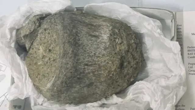 Antarktika'nın 40 Yıllık Sırrı: Çekmecede Unutulan Dinozor Fosili Ortaya Çıktı