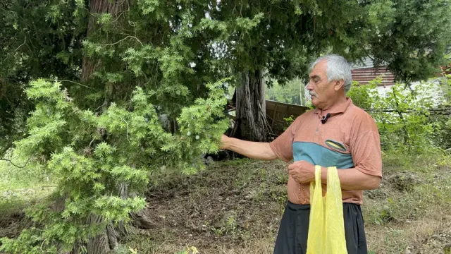 Doğadan Topladığı Andız Kozalakları ile Küçük Atölyesinde Servet Kazanıyor