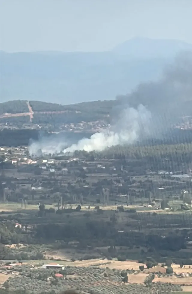 Muğla'da Orman Yangını: Havadan ve Karadan Yoğun Müdahale