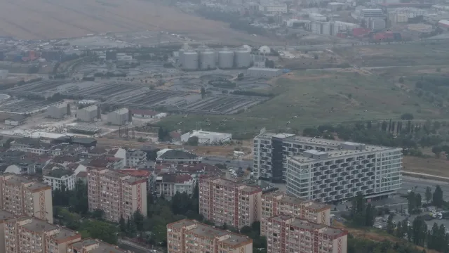İstanbul'da Yaz Ortasında Şaşırtan Manzara: Leylekler Göç Yolunda