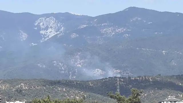 Kazdağı Milli Parkı'nda Korkutan Orman Yangını: Havadan ve Karadan Müdahale