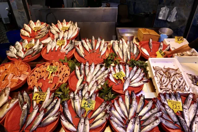 Balık Avı Sezonu Başladı: İşte İlk Tezgah Fiyatları ve Palamut Bolluğu