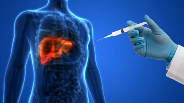 Son Araştırmalar Ortaya Koydu: Organ Nakline Alternatif Yöntem
