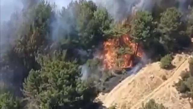 Balıkesir'deki orman yangını kontrol altında
