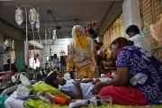 Bangladeş'te dang humması can alıyor