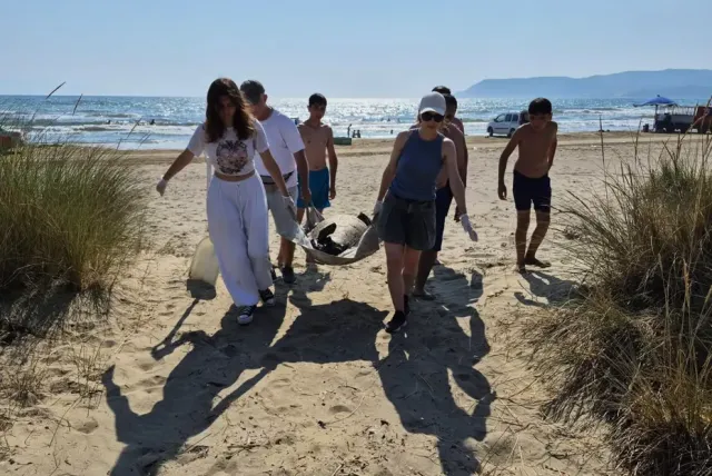 Ege Sahillerinde Üzücü Olay: 3 Caretta Caretta Ölü Bulundu