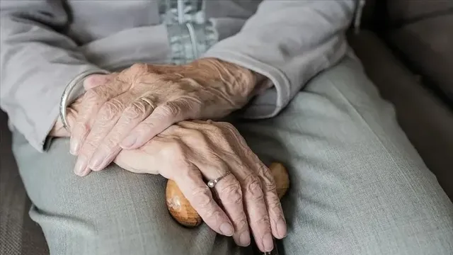 Japonya'da Emeklilik Sisteminde Kritik Dönüşüm: Yabancı Yatırımcılar Risk Altında