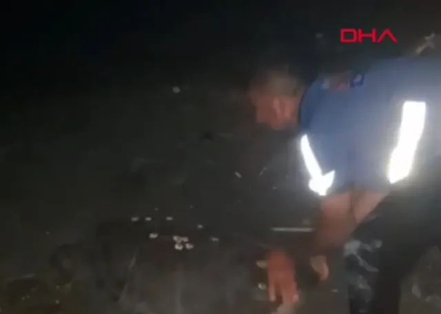 Samandağ Sahilinde Yönünü Şaşıran Caretta Caretta Vatandaşlar Tarafından Denize Ulaştırıldı