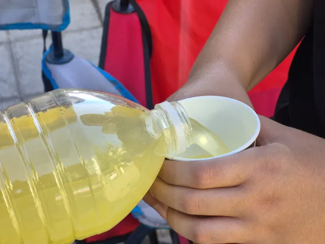 Eskişehirli Minik Girişimciler: Limonata Satarak Günlük 400 TL Kazanıyorlar