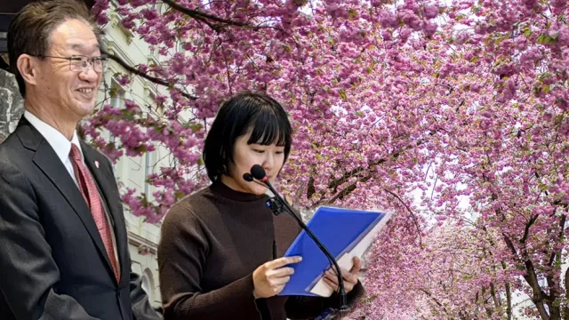 Kırşehir'de Sakura Şöleni: Japonya ile Kültürel Bağlar Güçleniyor