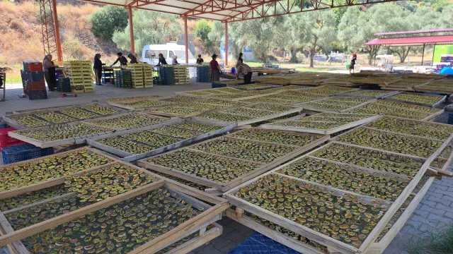 Cami Önlerinde Başlayan Başarı Hikayesi Türkiye'ye Yayılıyor