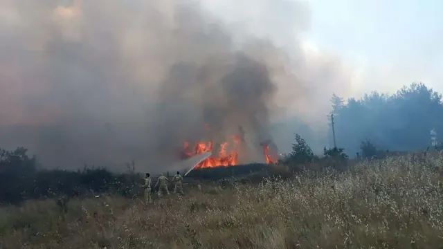 Muğla'da Orman Yangını: 5 Hektar Alan Zarar Gördü, 1 Gözaltı